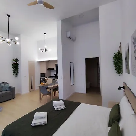 Rio Turia Pingueino バレンシア